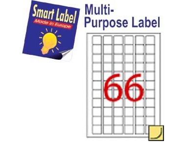SMART Laser Label ＃2501 25.4X25.4MM